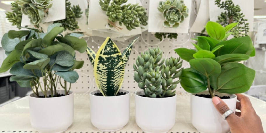 40% Off Target Artificial Plants – Prices from $3 (Holiday Styles Selling FAST!)