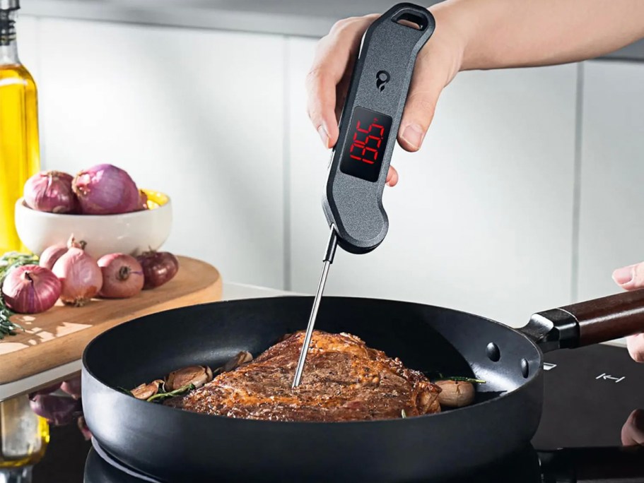 Digital Meat Thermometer Only $7.99 Shipped w/ Amazon Prime (Waterproof w/ Magnetic Back)