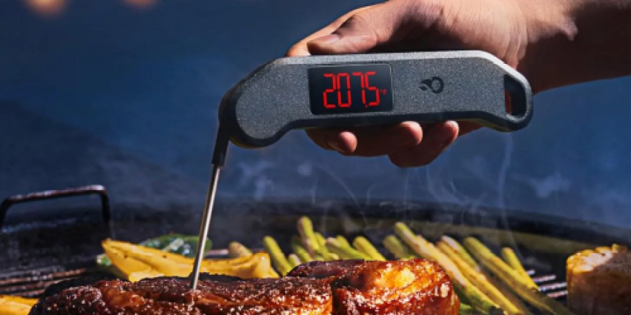 Digital Meat Thermometer Only $7.99 Shipped on Amazon (Waterproof w/ Magnetic Back)