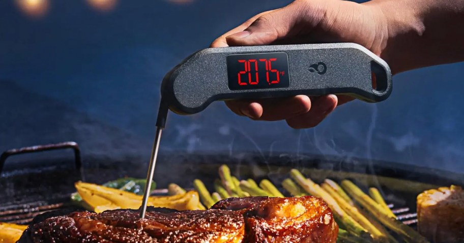 hand holding gray meat thermometer in piece of chicken on grill 