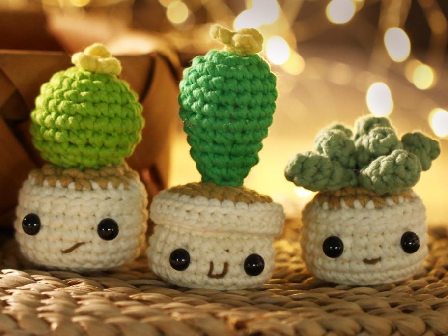 3 Potted Plants Crochet Kit