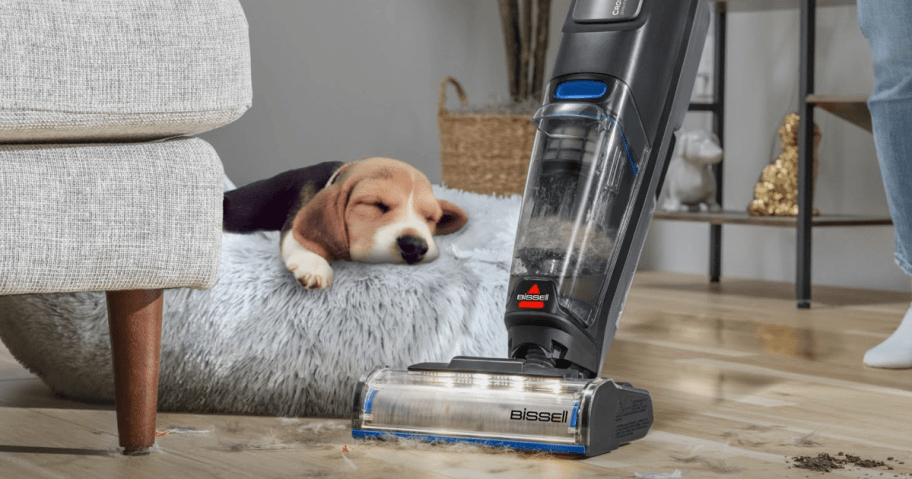 Bissell Croswave Wet Dry Vac being used o a floor with a dog in the room