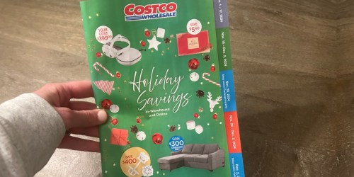 Costco Black Friday Ad Is Here (Spoiler Alert: It’s Pretty Boring)