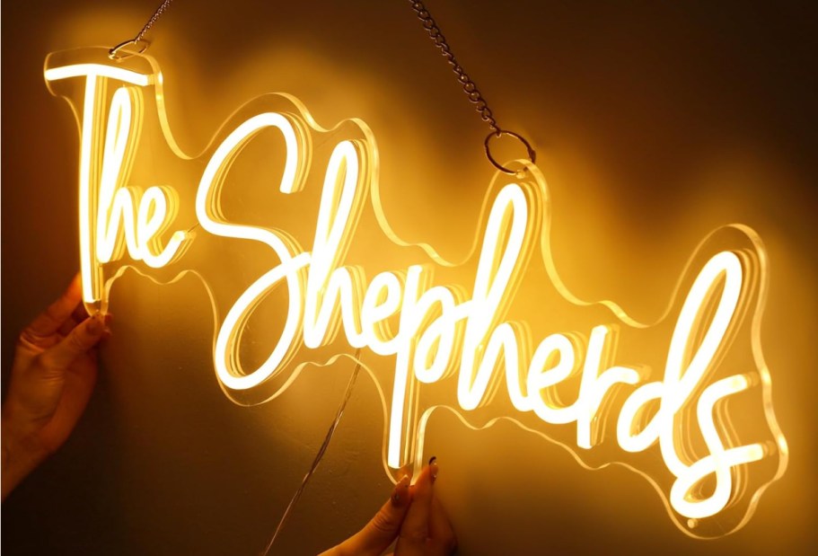 Custom Neon Signs from $11.99 Shipped on Amazon | Unique Gift Idea!