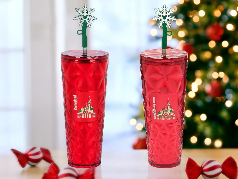 Disney Holiday Starbucks Tumbler with Straw