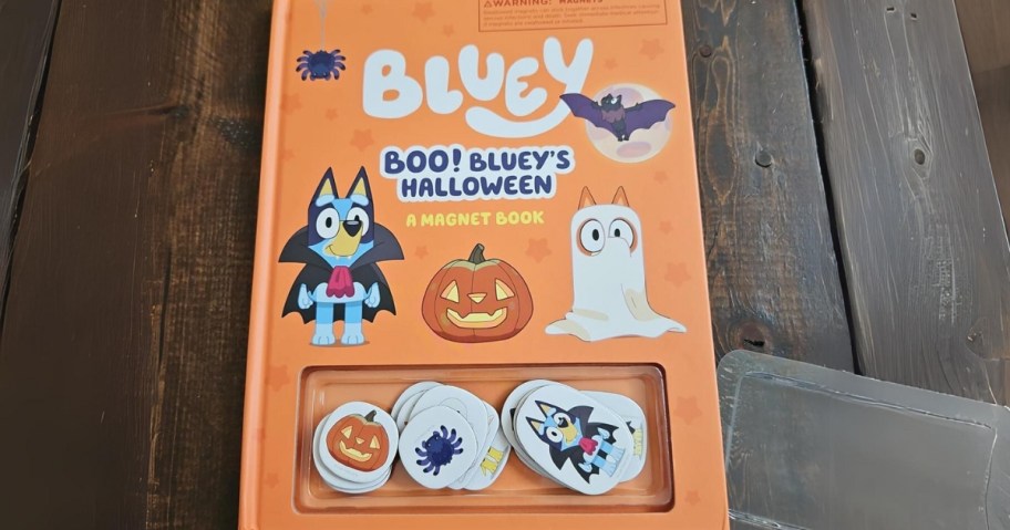 an orange hardcover book with Bluey and Bingo in Halloween Costumes, and a pack of magnets inside the cover. Book title says Bluey Boo! Bluey's Halloween Magnet Book