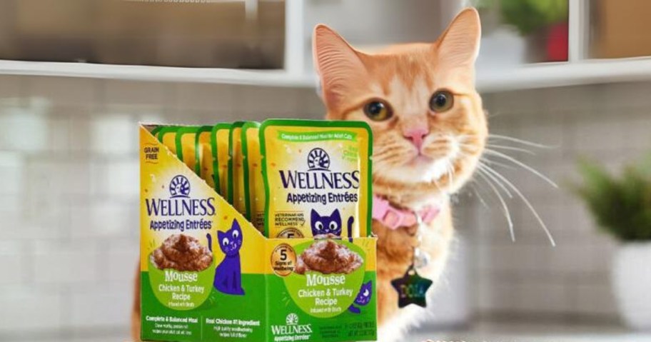 an orange striped cat next to a box of Wellness Cat Food Entrees on a kitchen counter