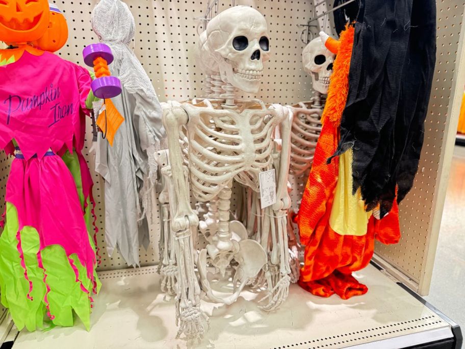 a poseable skeleton on a store shelf