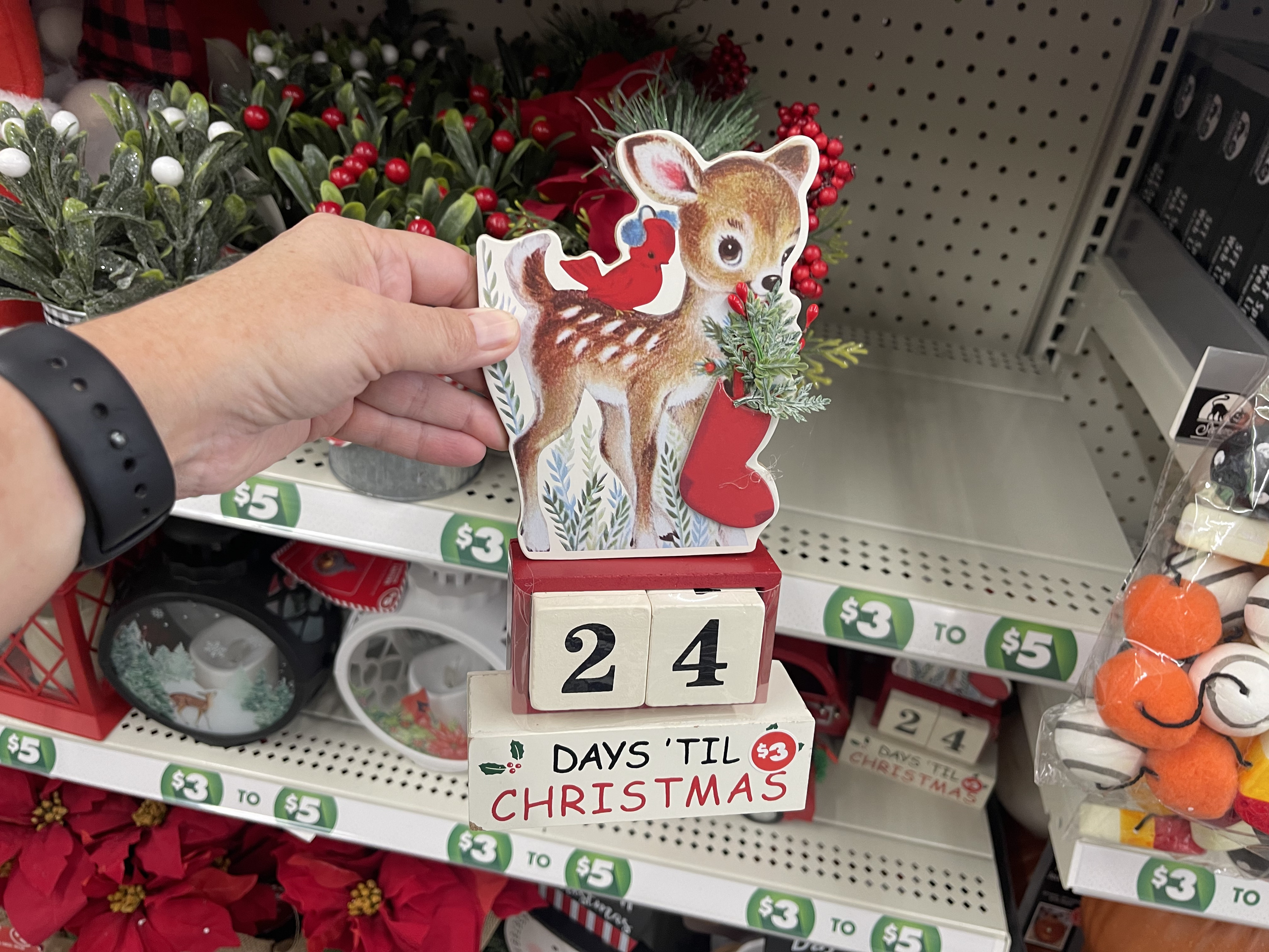 Dollar Tree Christmas Decor Starts at ONLY $1.25