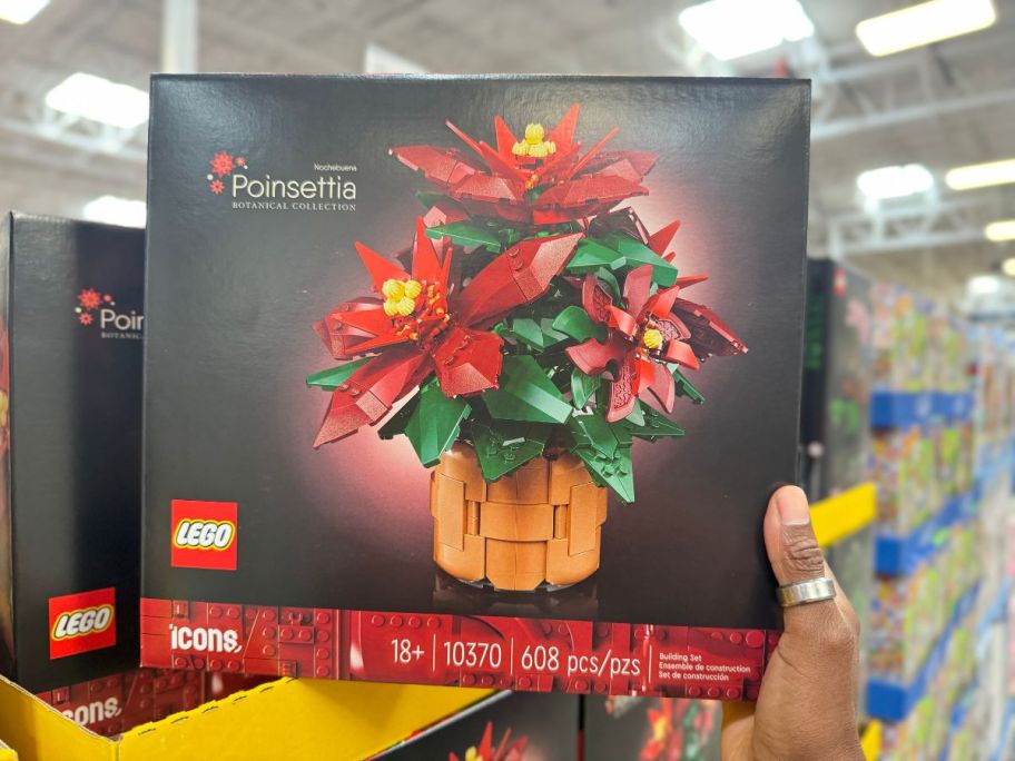 A person holding a LEGO Poinsettia in store