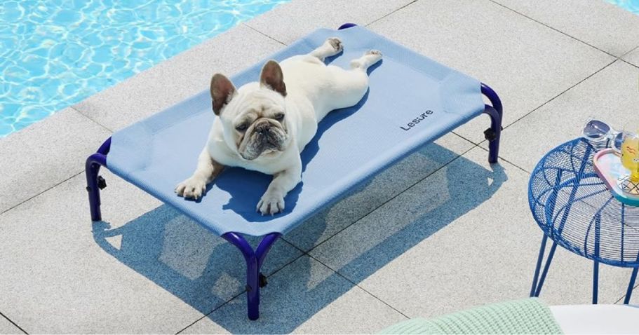 Elevated Outdoor Dog Bed Just $16.19 on Amazon (Regularly $37)