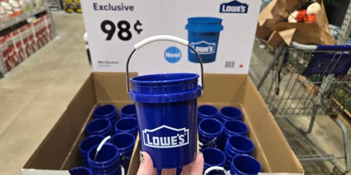 Viral Lowe’s Mini Buckets Back in Stock & Just 98¢ | 50K Sold Last Week!