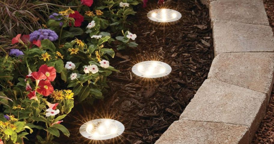 Mainstays Solar Lights in the mulch illuminating a walkway