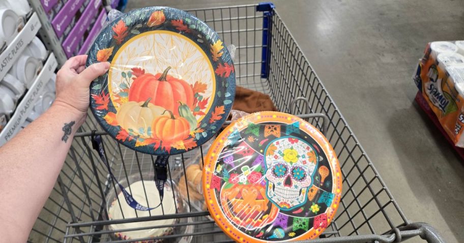 Member's Mark Paper Plates for Fall and Halloween 