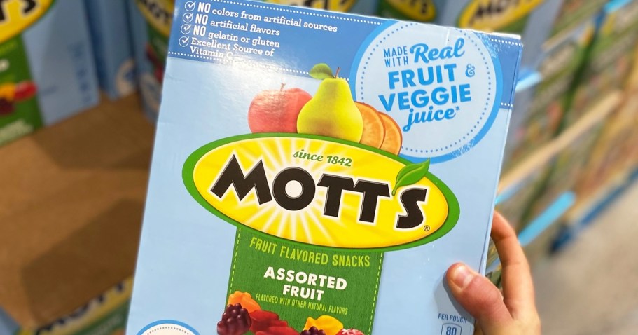 Mott’s Fruit Snacks 40-Count Box Just $5.98 Shipped on Amazon