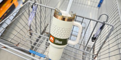 GO! Ozark Trail 40oz Tumbler ONLY $9 on Walmart.online – Perfect Easter Gift