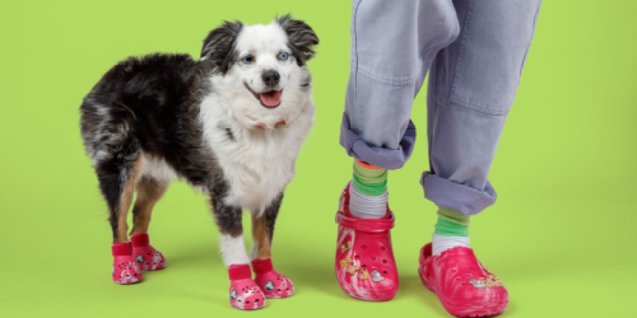 Get Ready to Twin with Your Pup: Matching Crocs for You & Your Furry BFF Drop Oct. 23rd!