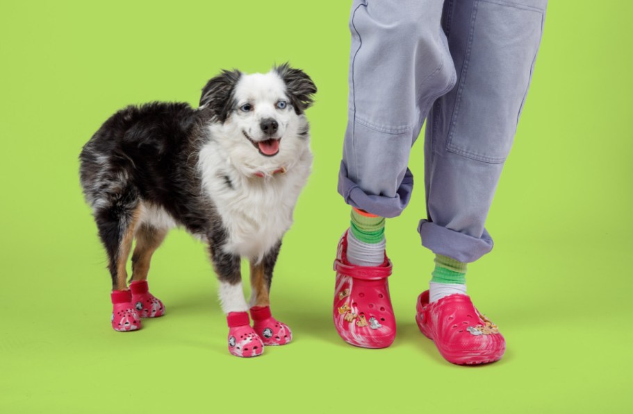 GO! Matching Crocs for You & Your Furry BFF Are Available Now & Selling Out Fast