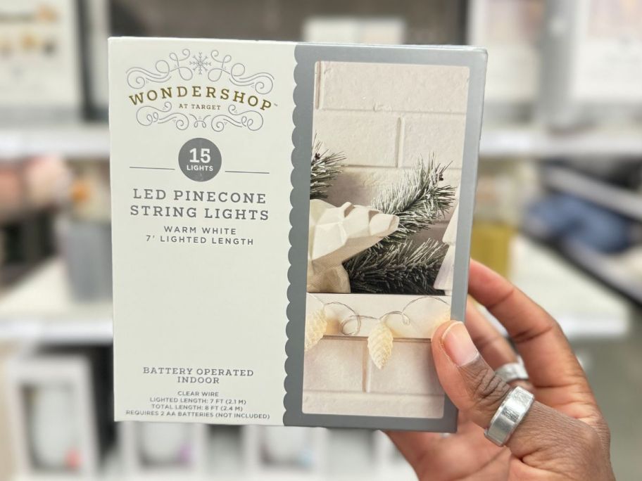 Wondershop Christmas Pinecone Battery-Operated String Light box in hand in store