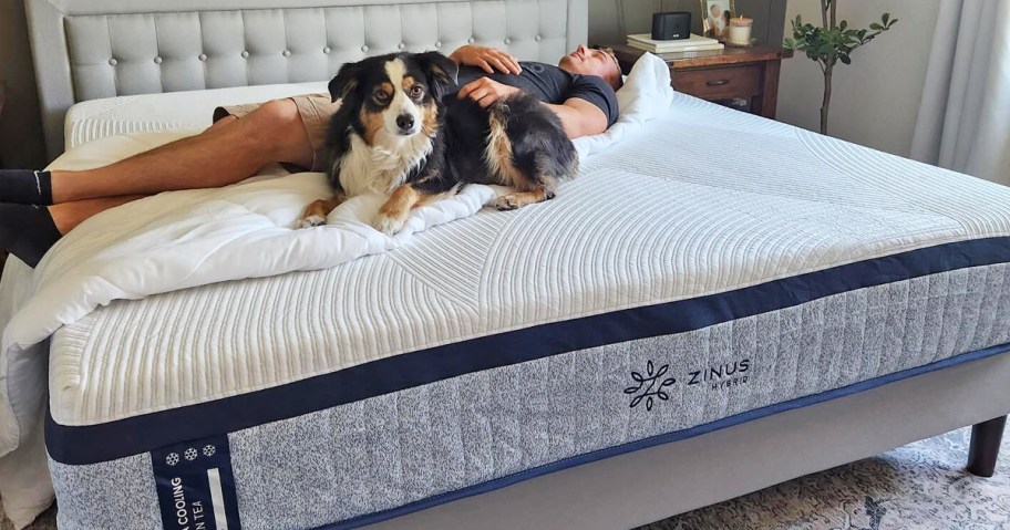 man and dog laying on a zinus mattress