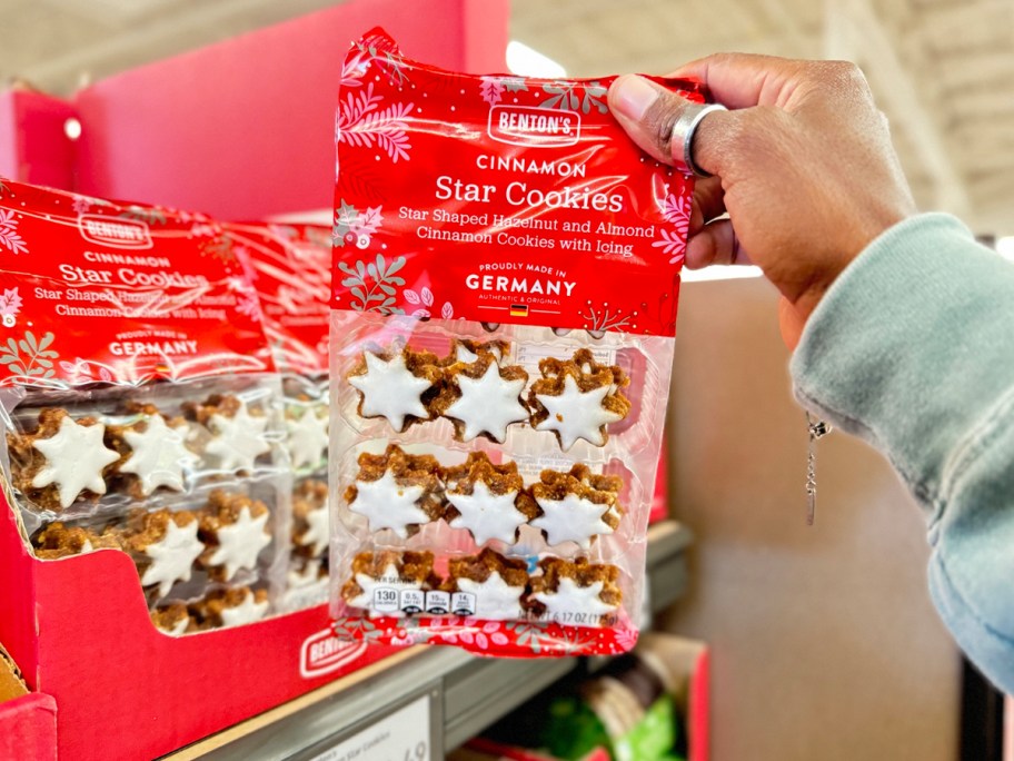 hand holding cinnamon star cookies 