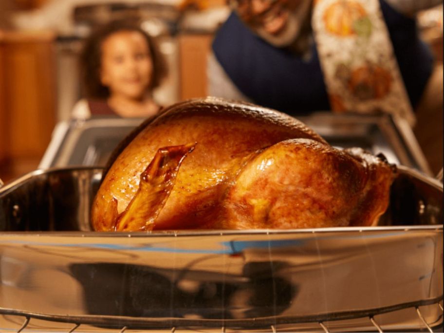 cooked turkey in oven with people looking at it