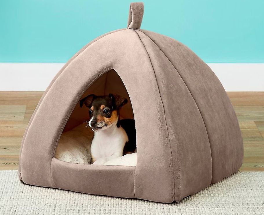 a small dog in a triangle shaped covered dog bed