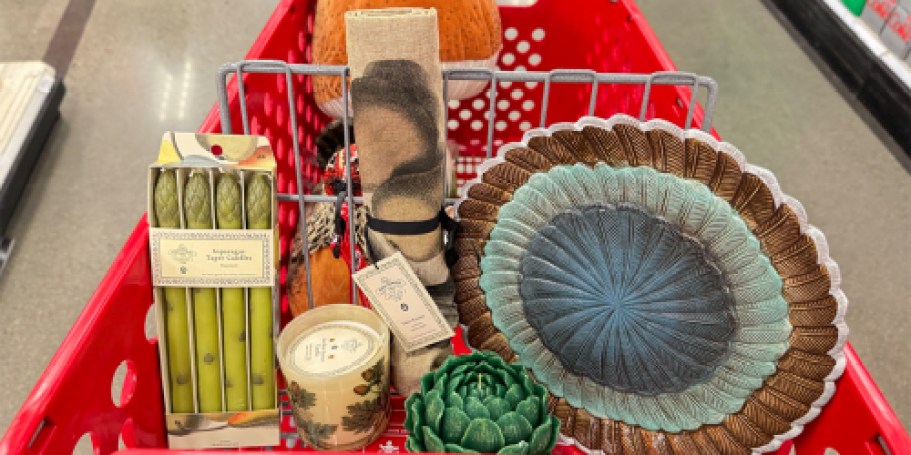 HURRY! John Derian for Target Collection Now Available (Charming Fall Decor from $6)