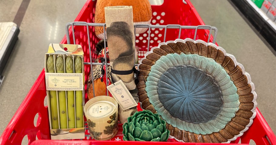 HURRY! John Derian for Target Collection Now Available (Charming Fall Decor from $6)