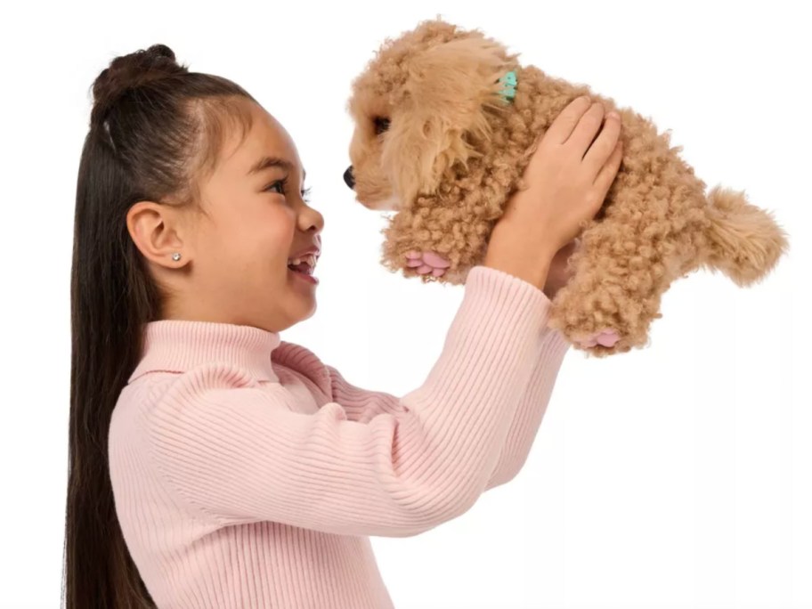 girl holding up cavadoodle little live pets