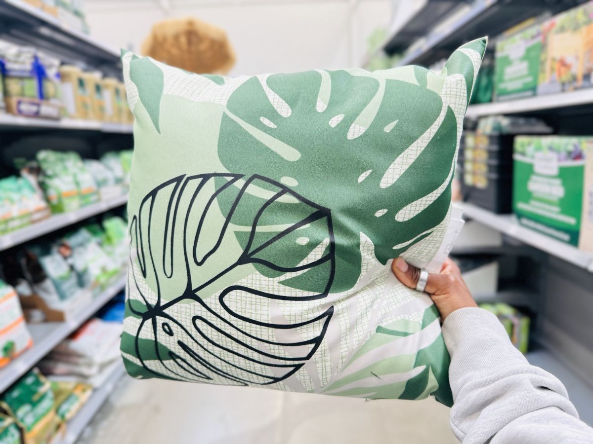 NEW $5 Reversible Outdoor Throw Pillows at Walmart