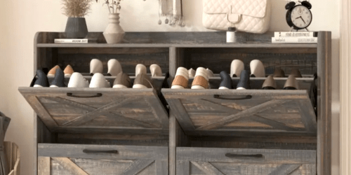 Up to 75% Off Shoe Storage Cabinets on Wayfair.online