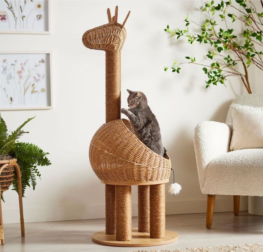 a cat on a giraffe cat condo