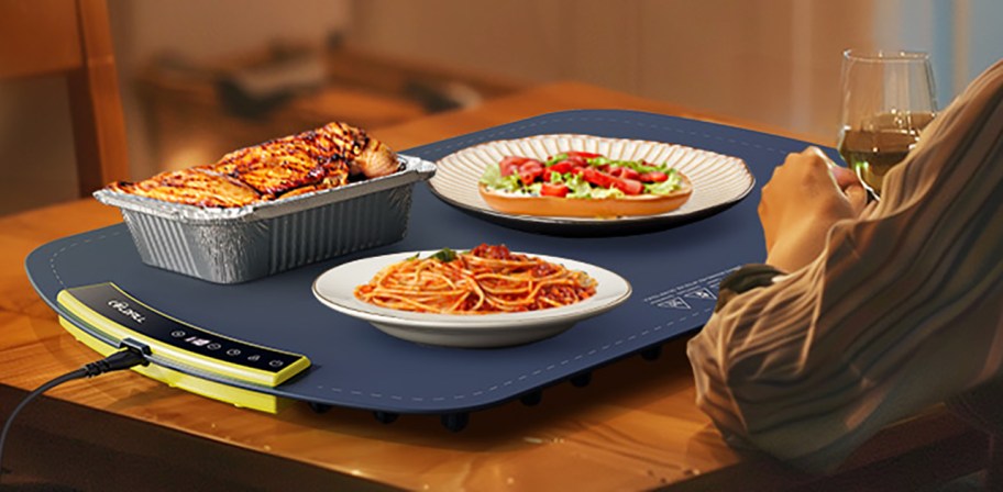 Electric Warming Tray Only $20.79 Shipped on Amazon (Keeps Food Hot for 6 Hours)