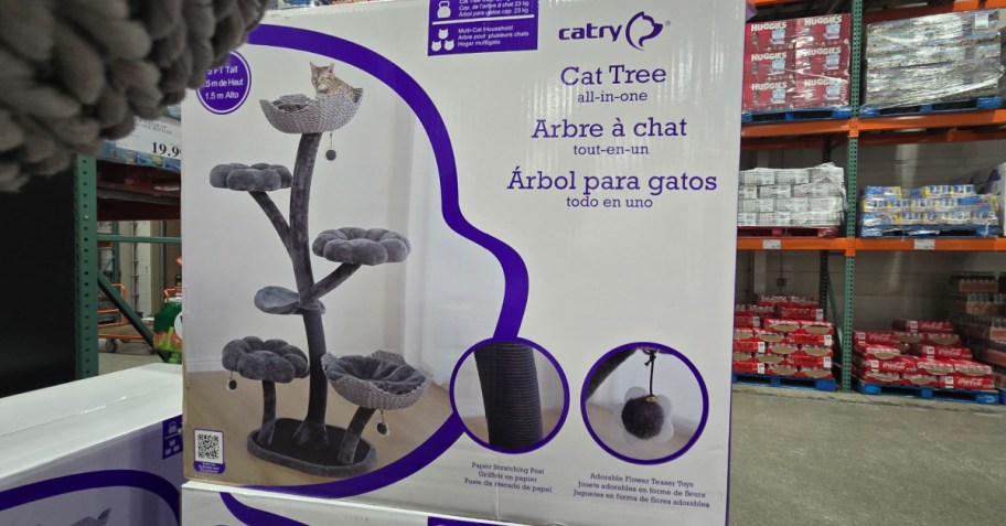 Cat tree displayed in its box