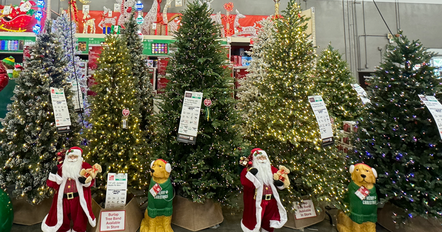 Christmas Trees at Home Depot