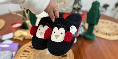 *HOT* Dearfoams Holiday Slippers w/ Gift Bag Just $9.99 (Arrives By Christmas!)