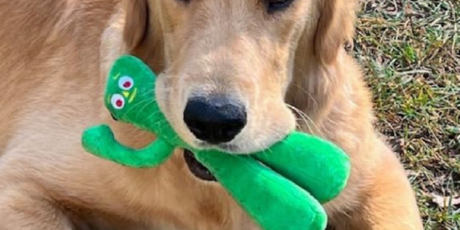 Gumby Plush Dog Toy Just $2 on Chewy.online | Great Stocking Stuffer for Your Pet