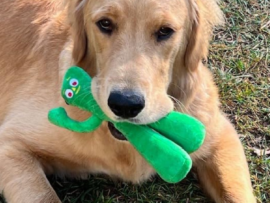 Gumby Plush Dog Toy Just $2 on Chewy.online | Great Stocking Stuffer for Your Pet