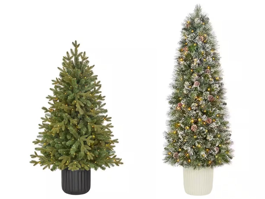 Home Accents Holiday 4 ft. Pre-Lit LED Potted Spruce Artificial Christmas Tree and 6 ft. Pre-Lit LED Sparkling Amelia Pine Potted Artificial Christmas Tree