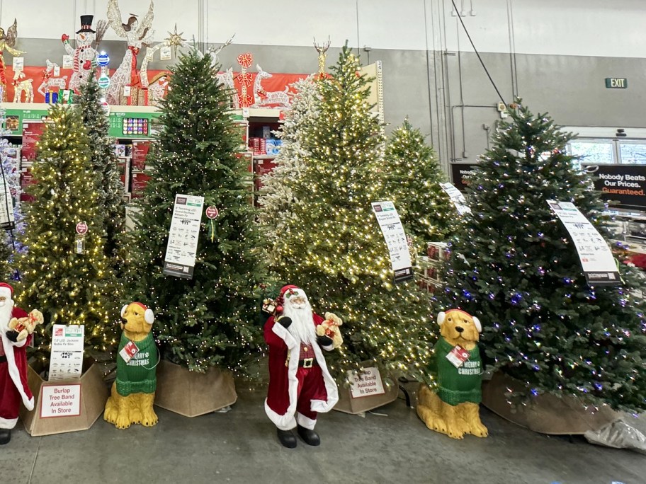 christmas trees on display in home depot store