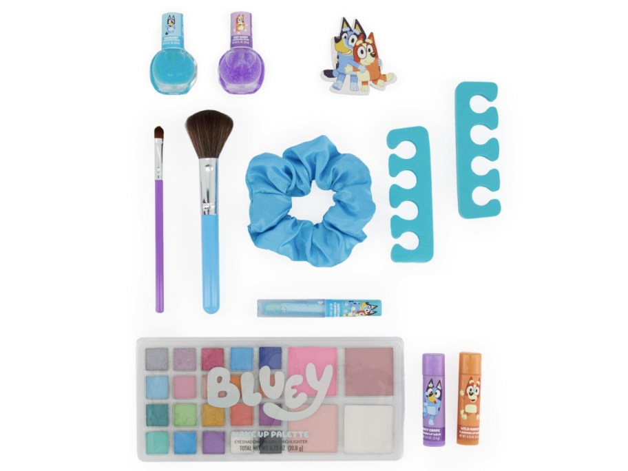 Items inside of bluey caboodle