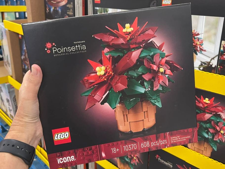 Hand holding a LEGO poinsettia box