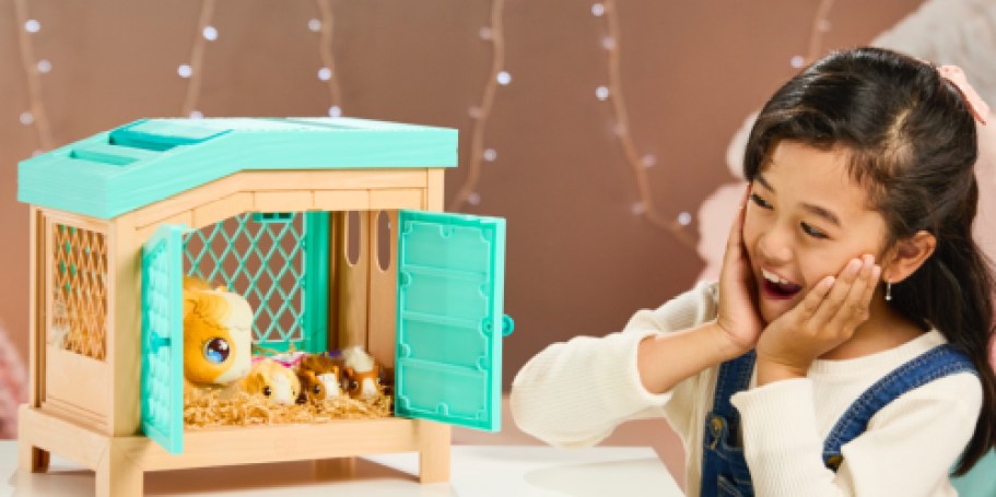 Mama Surprise Guinea Pigs Just $19 on Amazon or Walmart.online (Reg. $65)