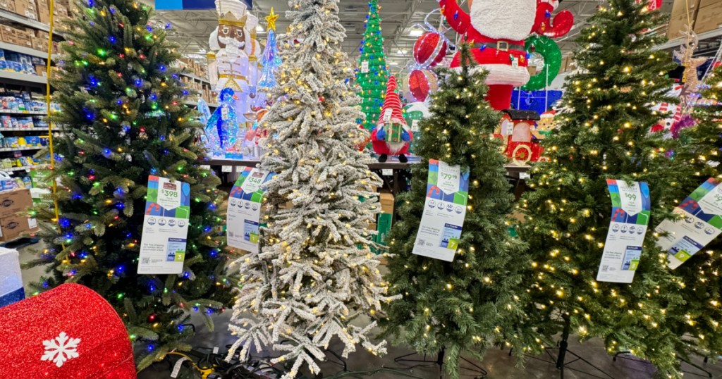 huge display of christmas trees at lowes