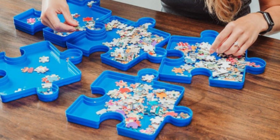 Puzzle Sorting Tray 6-Pack Only $8.99 on Target.online (Reg. $18)
