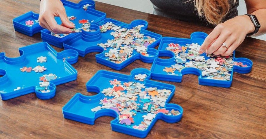 Puzzle Sorting Tray 6-Pack Only $8.99 on Target.online (Reg. $18)