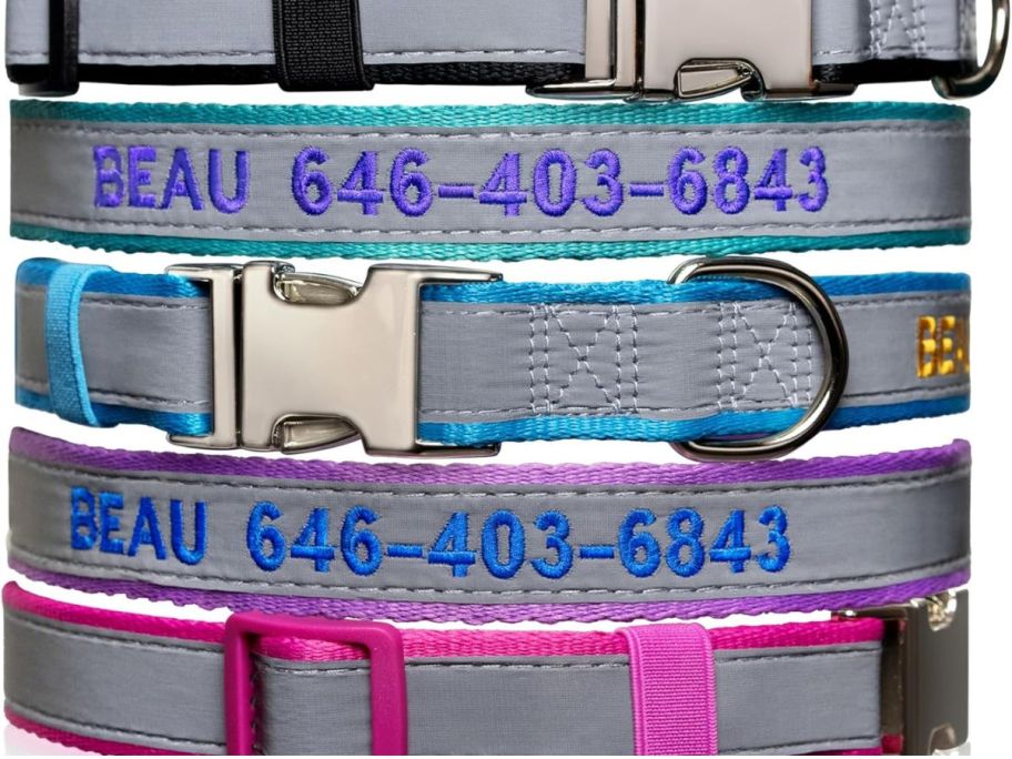 5 engraved dog collars 