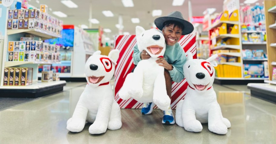 NEW Target Bullseye Plush Available Now (But May Sell Out!)