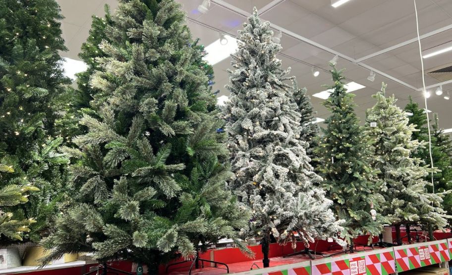 target christmas trees on display in a target store